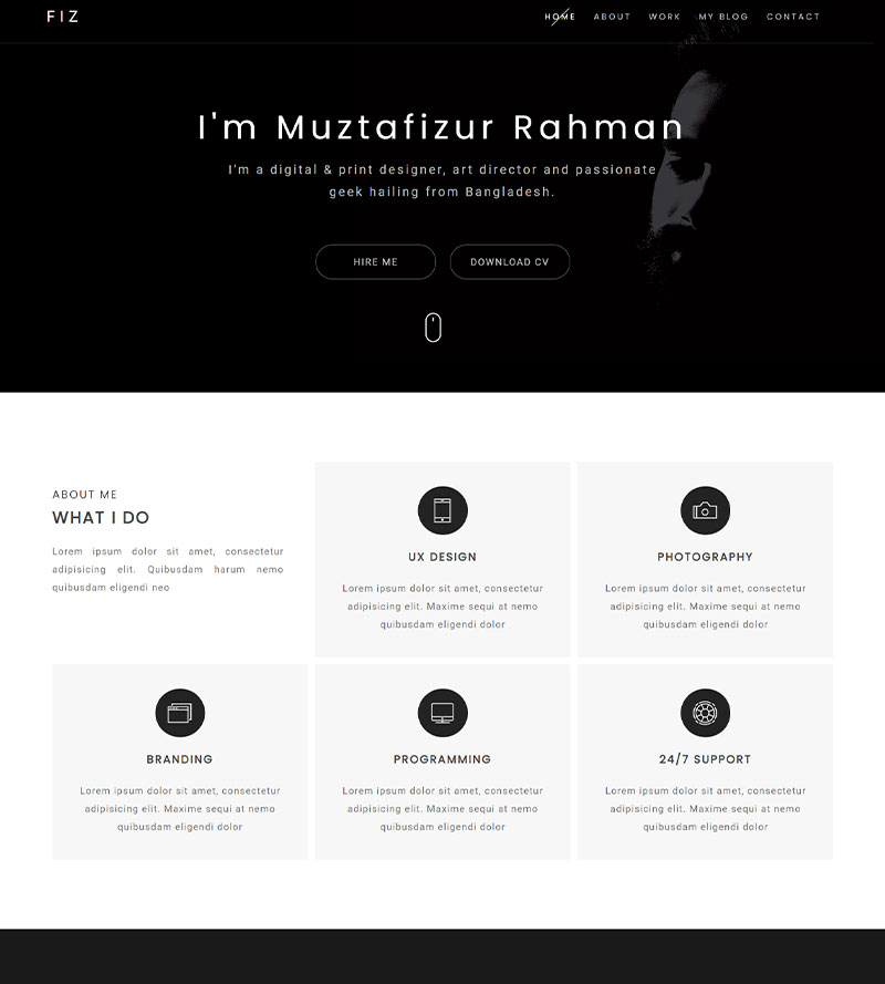 Website development